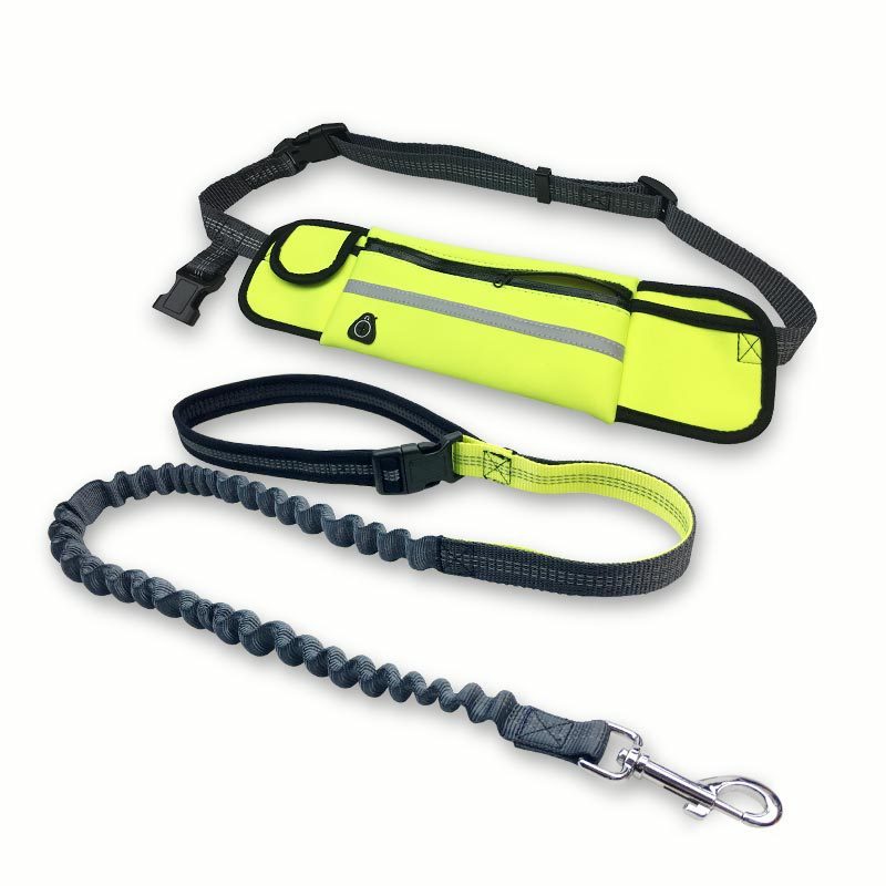 Hands-Free Running Leash with Pocket and Shock-Absorbing Bungee