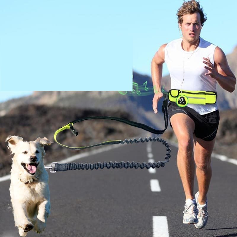 Hands-Free Running Leash with Pocket and Shock-Absorbing Bungee