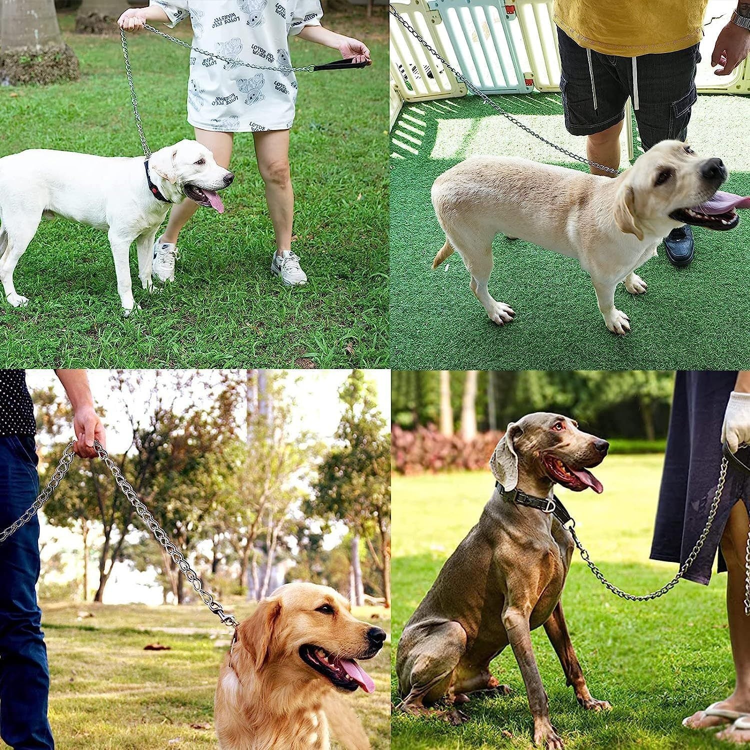 Heavy-Duty Steel Dog Leash, Soft Padded Handle