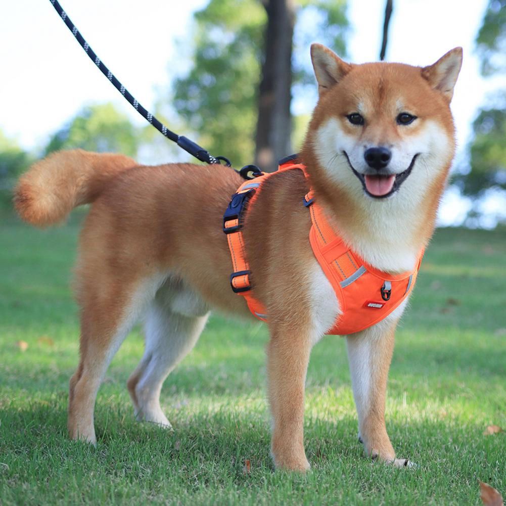 Orange Reflective No-Pull Dog Harness for Safer Night Walks