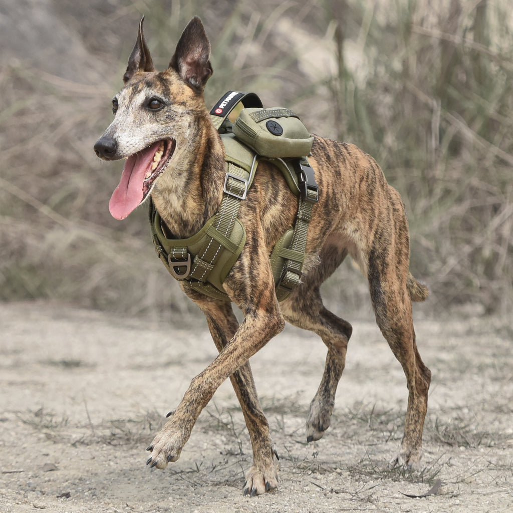 Tactical-Style Dog Harness, No-Pull, Pockets for Essentials