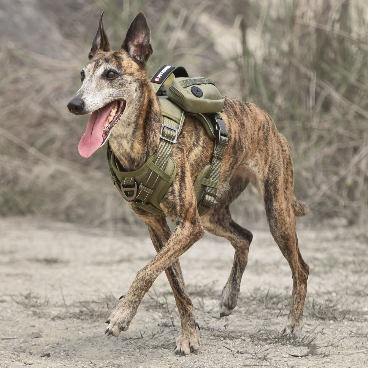 Tactical-Style Dog Harness, No-Pull, Pockets for Essentials
